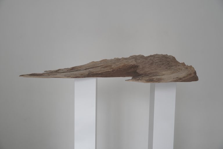 Land Project - Work 4