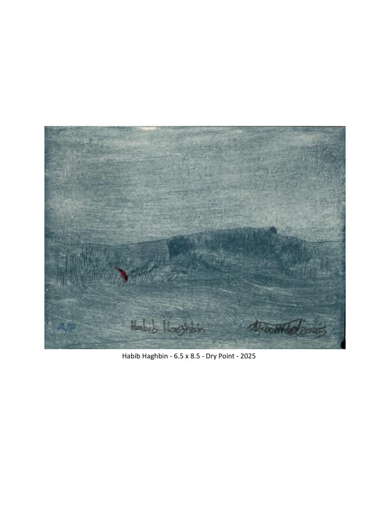 Habib Haghbin - 6.5x8.5 cm - Dry point - 2025