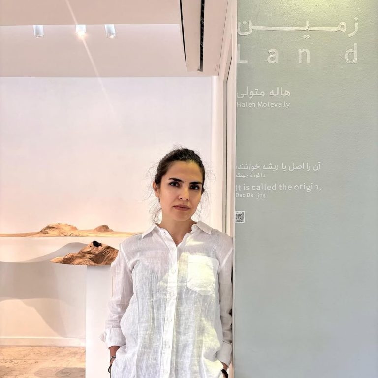 Land - Haleh Motevally - installation view1