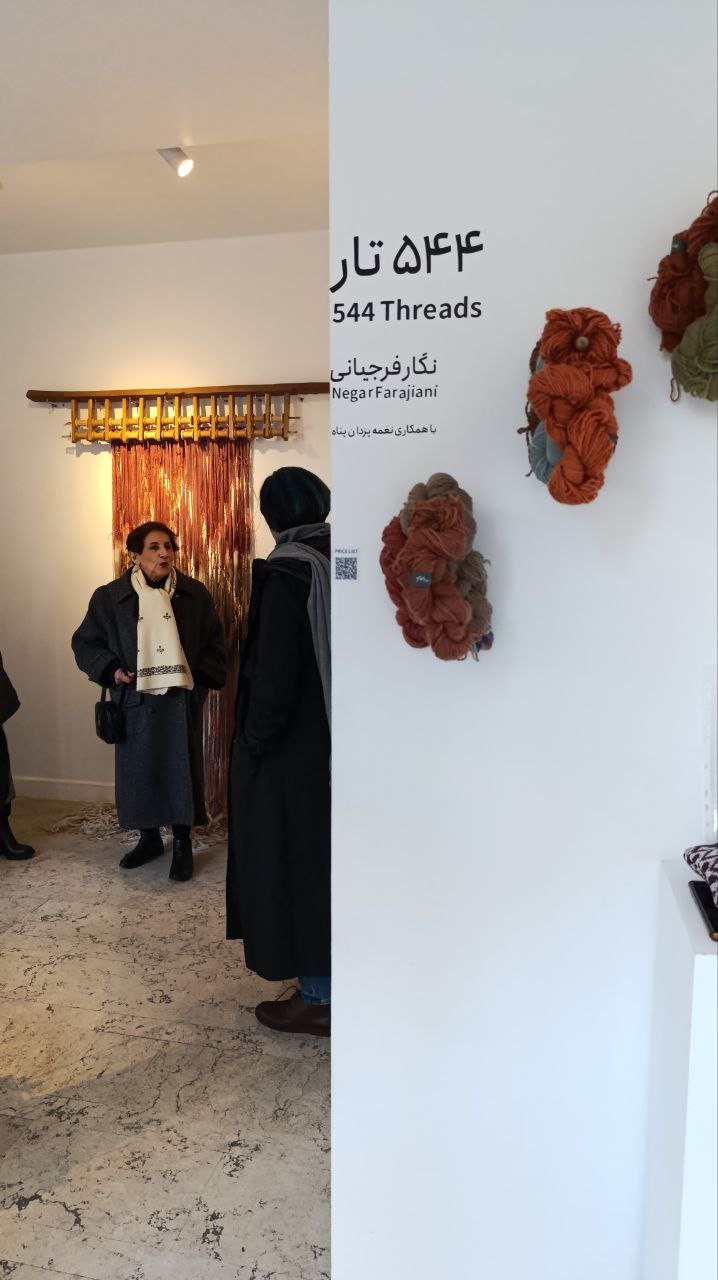 negar farajiani - 544 threads - installation views