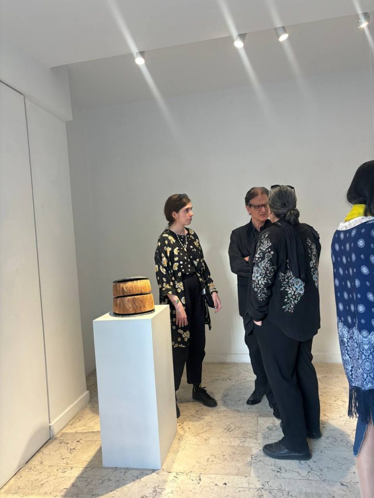 Chārgāmeh - Majid Farahmand - Installation views