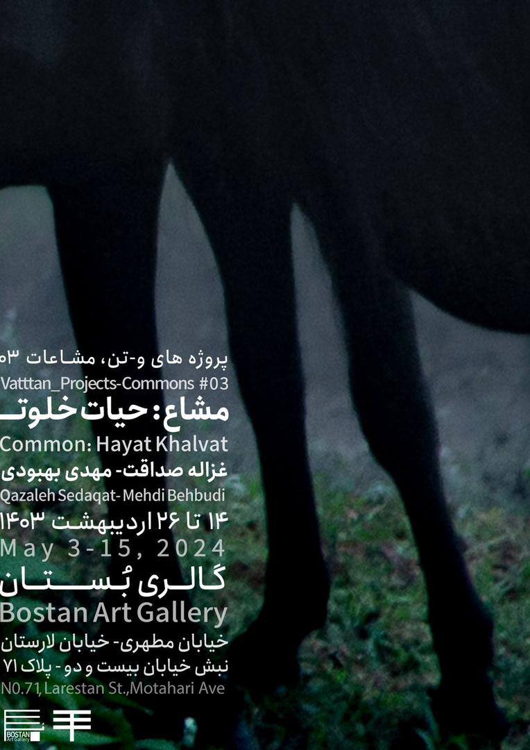 common:hayatkhalvat poster