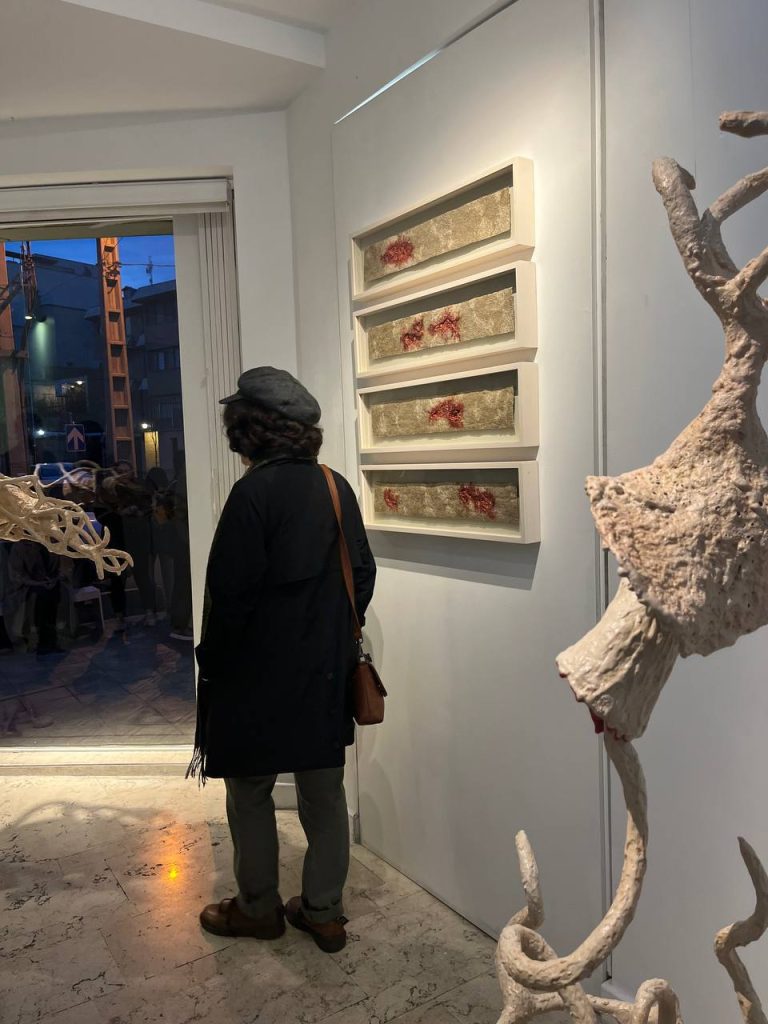 Sarina salimi - maturation installation view