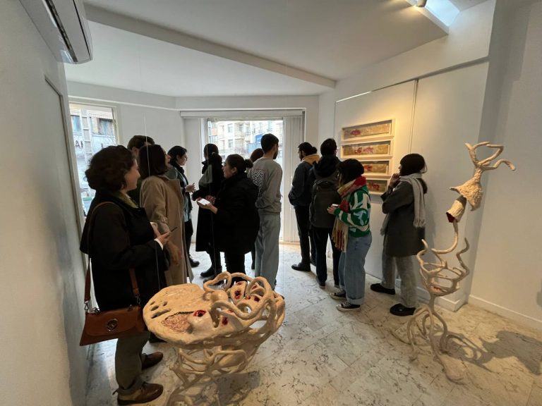 Sarina salimi - maturation installation view