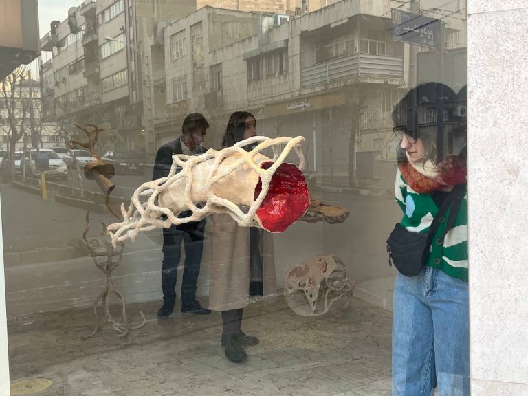 Sarina salimi - maturation installation view
