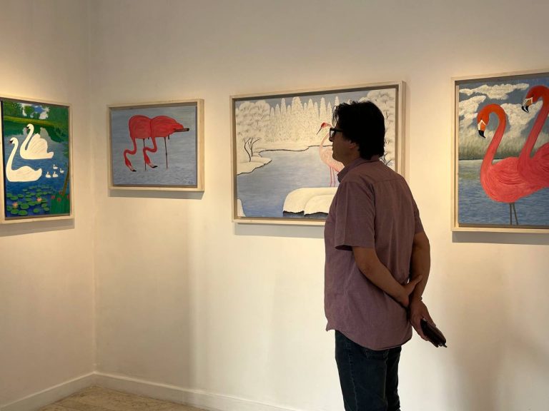 MOHAMMAD EBRAHIM EMAD - BIRDS - INSTALLATION VIEWS