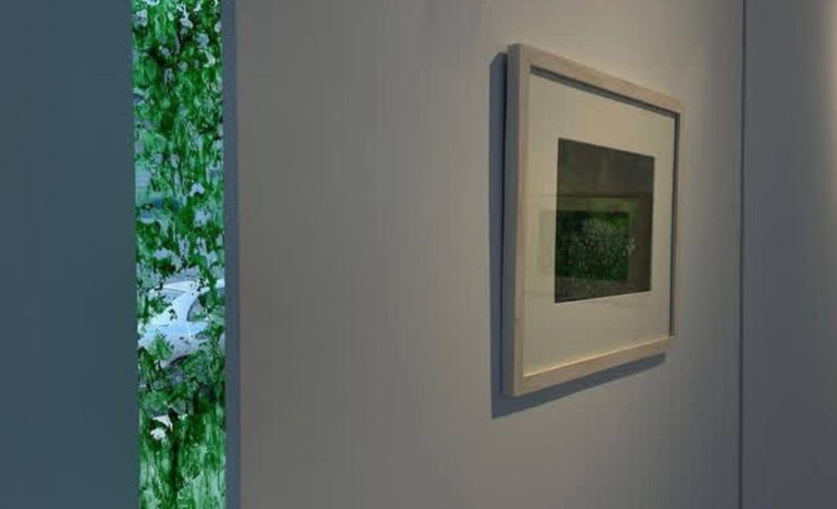 niaz babatabar - an illusion of garden - installation views