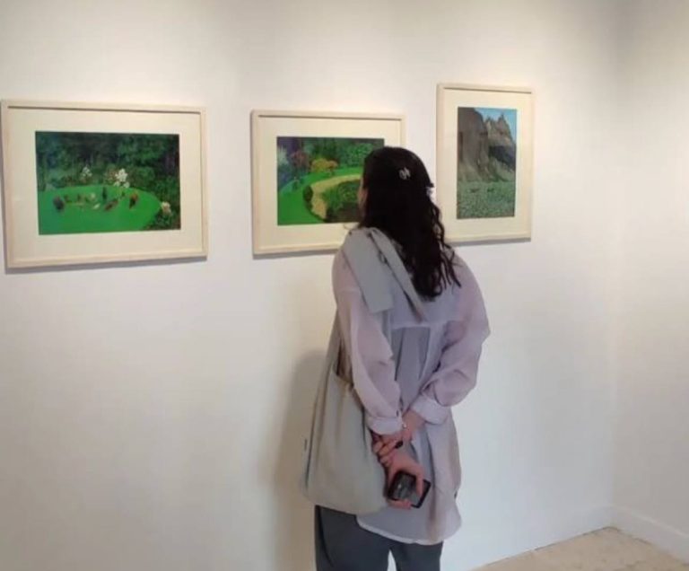 niaz babatabar - an illusion of garden - installation views