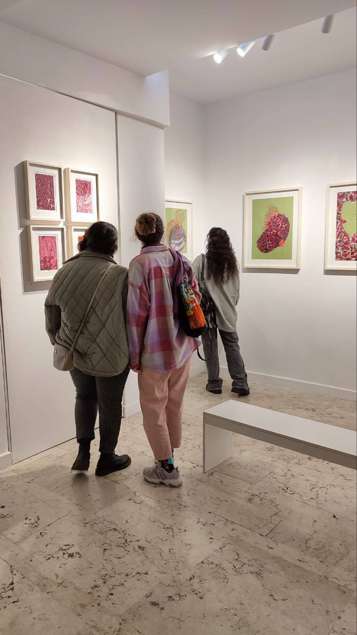 Maryam Dormani - Menopause Project - Installation views