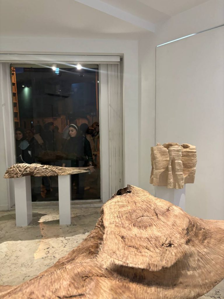 Haleh Moteally - Land Project - Installation Views