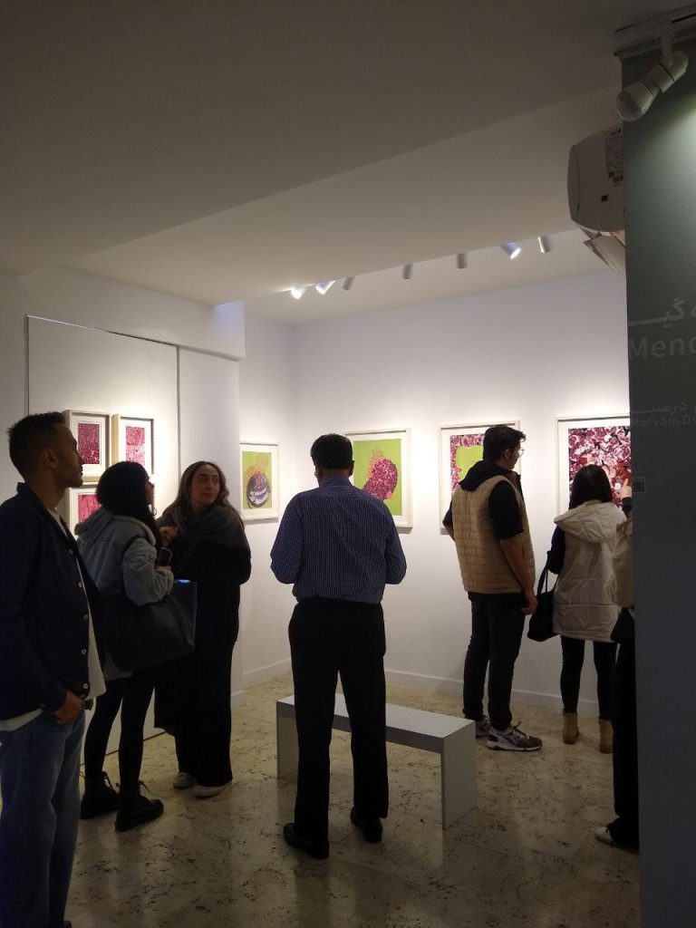 Maryam Dormani - Menopause Project - Installation views