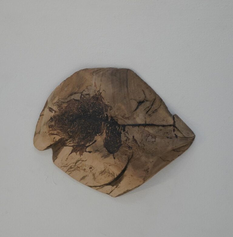 Untitled, Wood and Tar, 2025, 25 x 20 x 4 cm