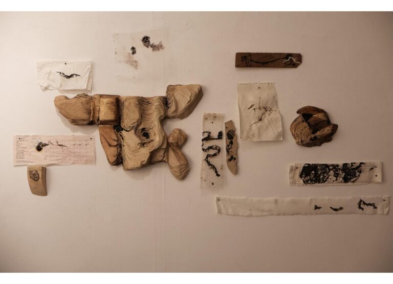 Study Wall of Waste Land Collection